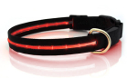 LED - Hundehalsband in der Farbe rot NEU